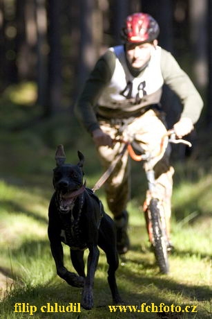 Maxicky 05 - 042.jpg